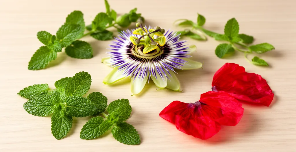 Natural botanical ingredients passionflower lemon balm and poppy associated with sleep support